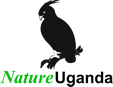 Nature Uganda